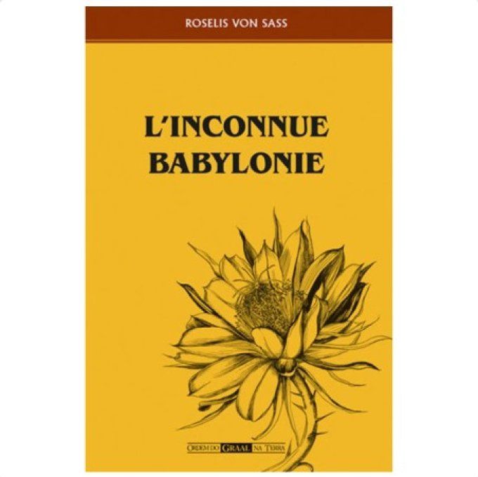 L'inconnue Babylonie
